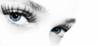 cilios