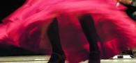 Apresentação de dança flamenca em Santos