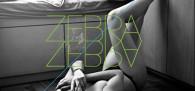 banda zebra zebra