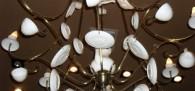 Lustre maravilhoso no Planeta Café