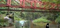 ecoturismo no litoral de SP
