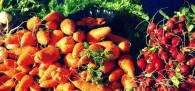 Feira de produtos orgânicos amanhã (13/4)
