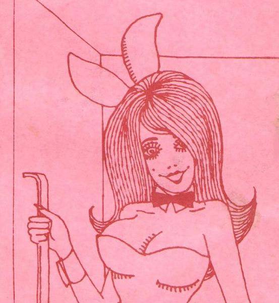 Capa do manual das coelhinhas da Playboy