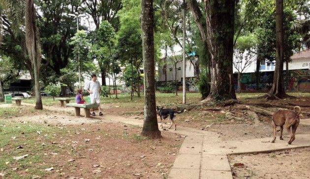 Parque para cães em Santos