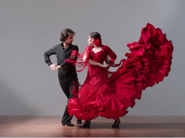 Instituto Andaluz Casal Flamenco