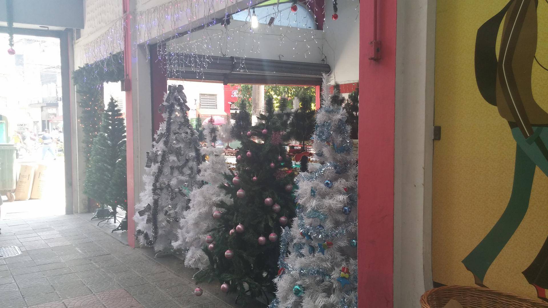 Comprar árvore de Natal em Santos