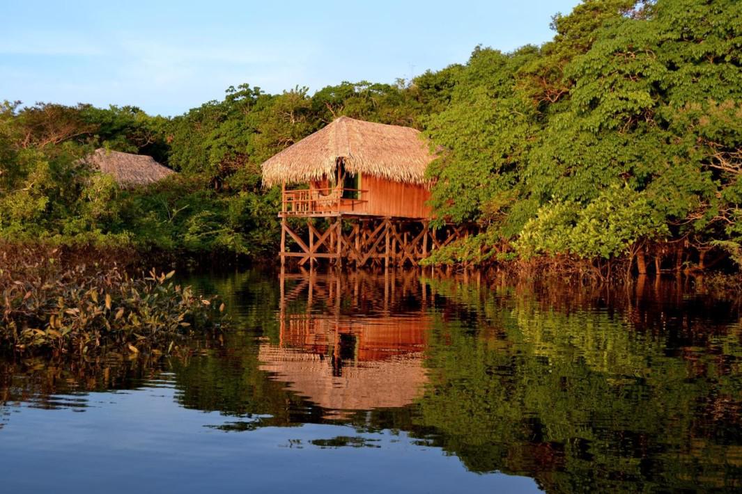 juma-amazon-lodge-floresta-amazonica