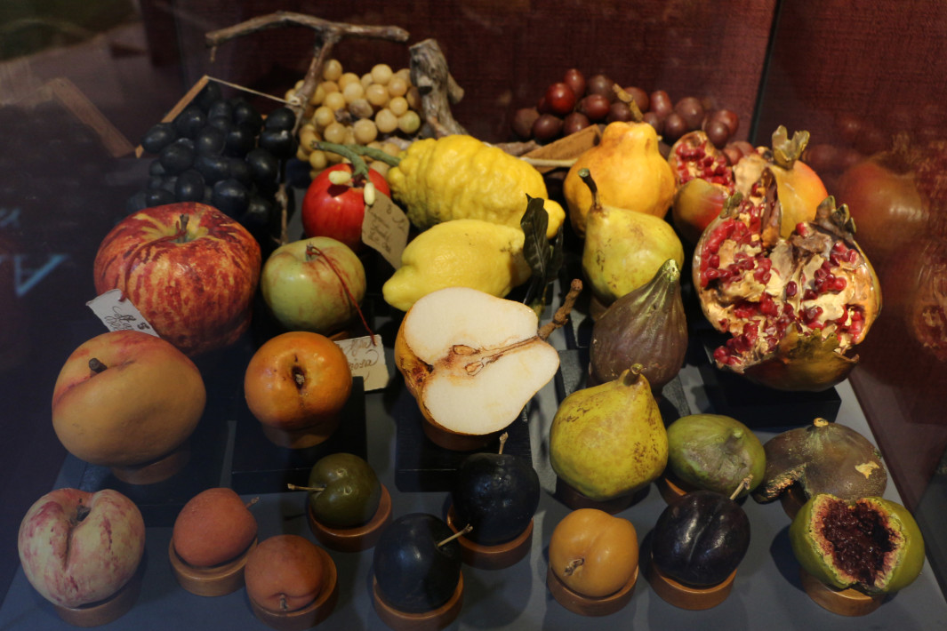 www.juicysantos.com.br - museu della fruta em turim