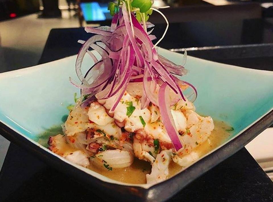 www.juicysantos.com.br - ceviche em Santos