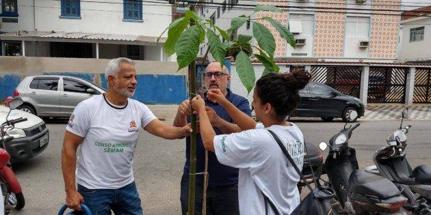 juicysantos.com.br - Santos ganhou mais de 600 árvores novas