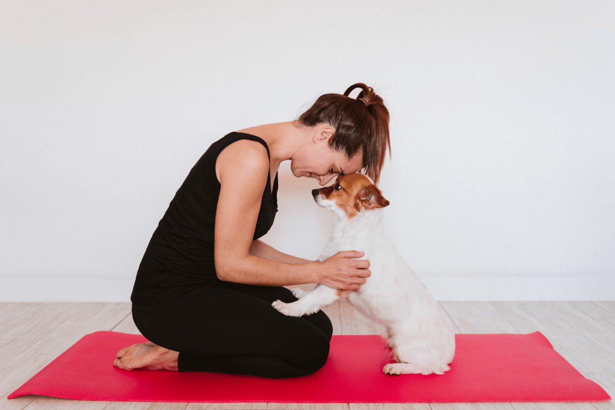 Portal Pet Festival - Pet Yoga & Oficina Arte