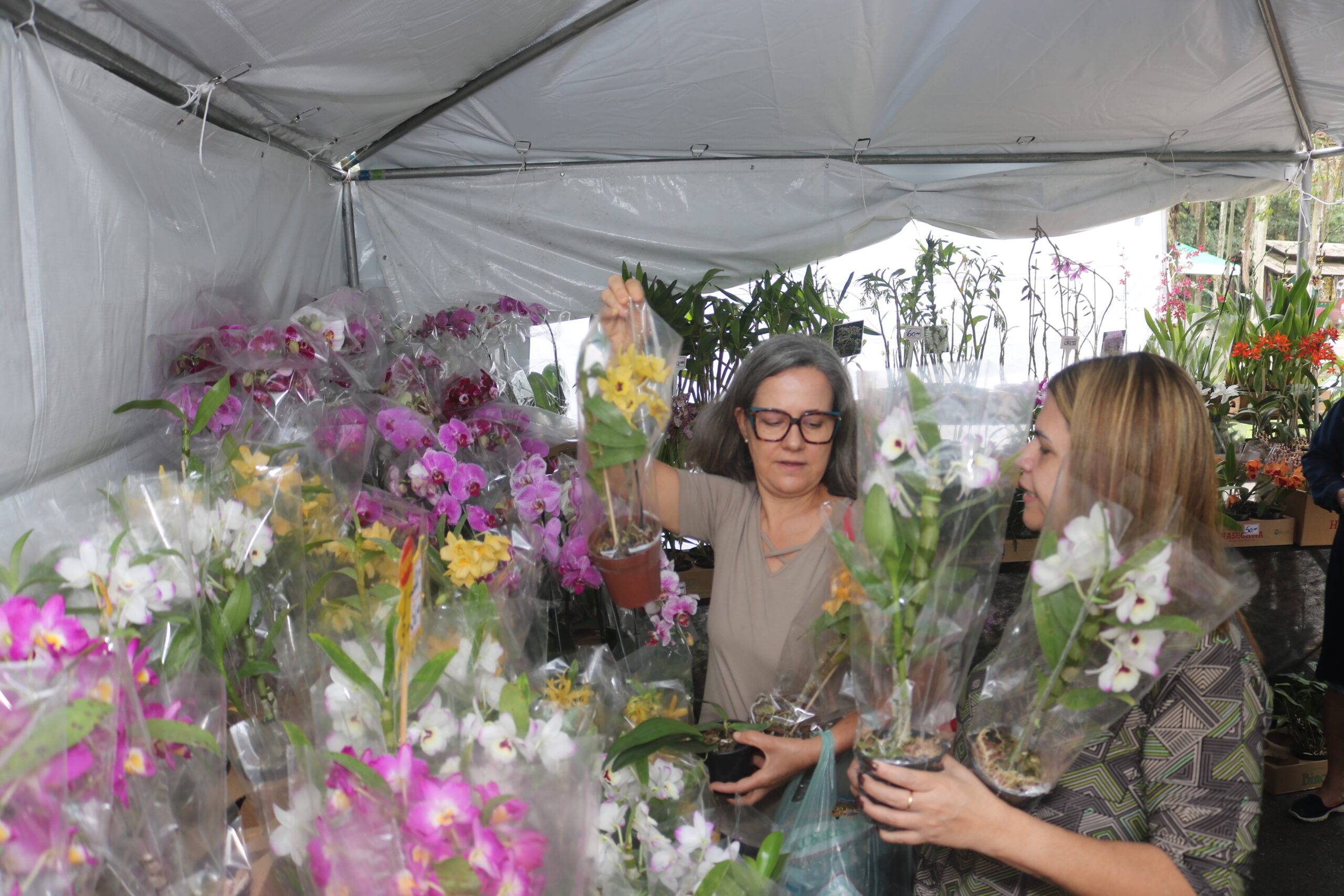 Festival de Orquídas no Botânico