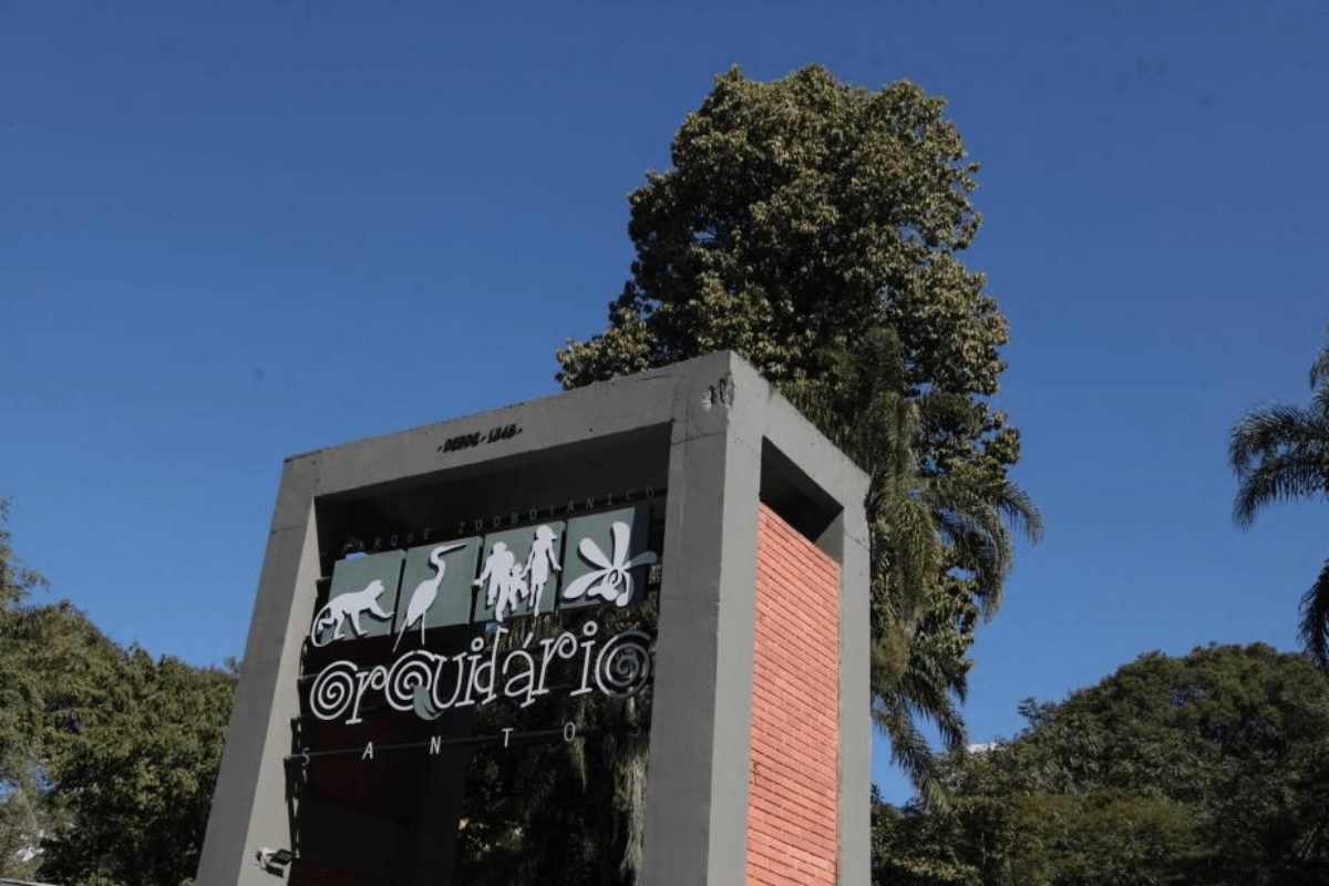 Dia das Crianças no Orquidário