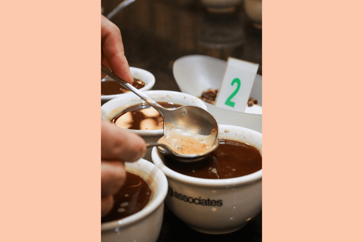 Exposição Café à Prova