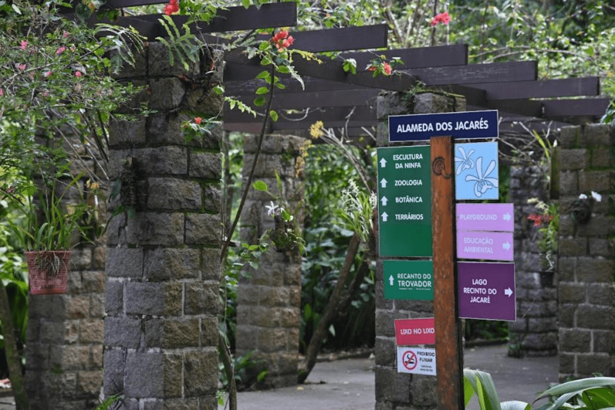 Educação ambiental nos parques de Santos