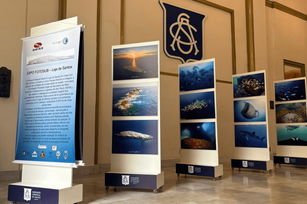 Exposição Laje de Santos