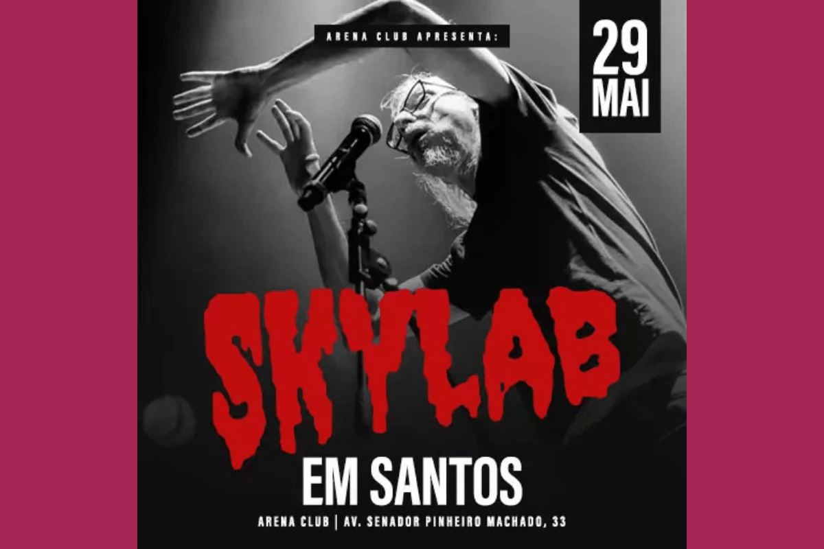 Rogério Skylab em Santos