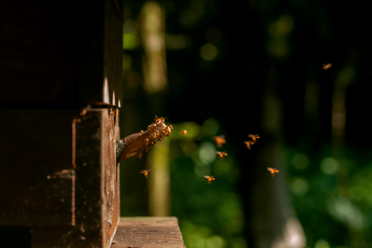 Fronteiras Invisíveis