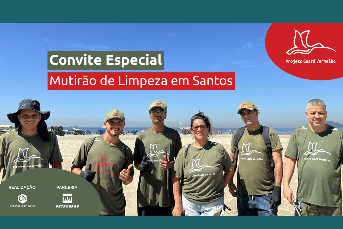 Mutirão de Limpeza em Santos