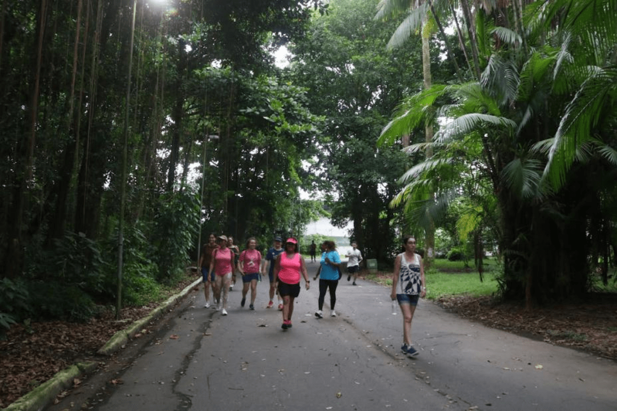 Walking Tour na Zona Noroeste