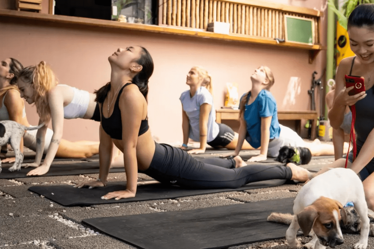 Yoga na Pinacoteca