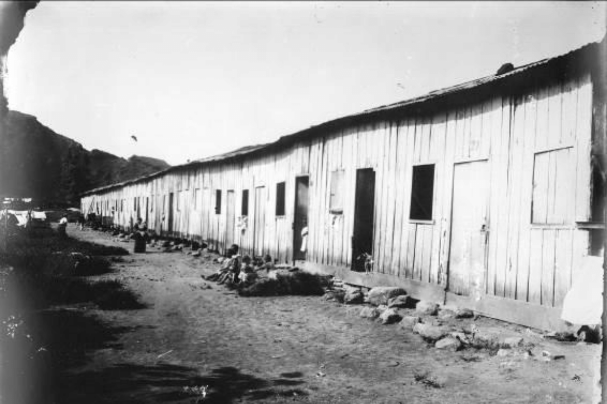 Caminhada nos Quilombos de Santos