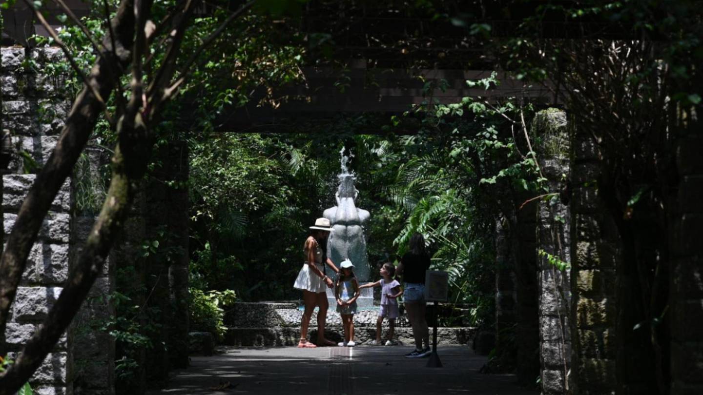 Férias no Orquidário