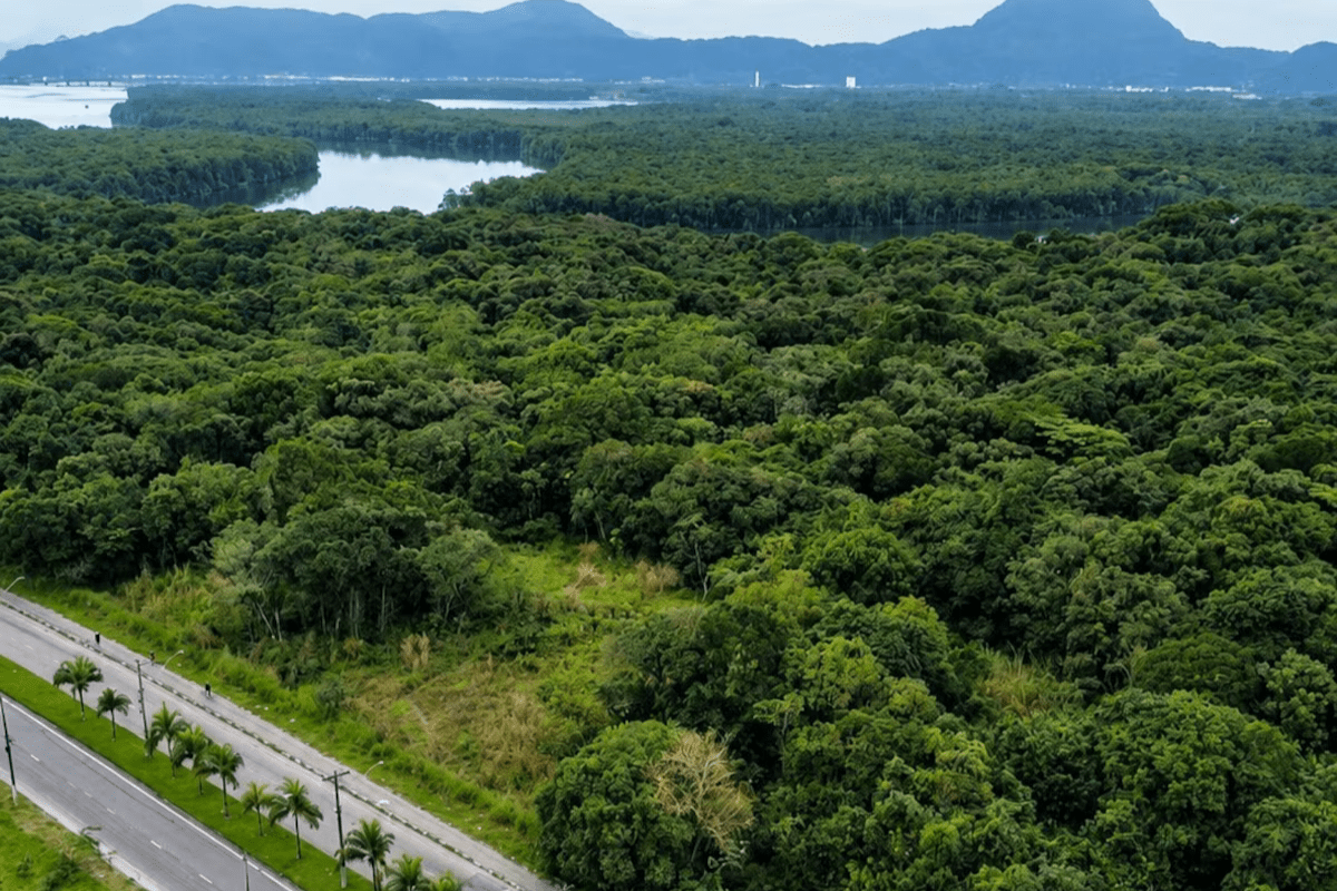 Novo CT do Santos em São Vicente: o que cabe em 700 mil m²? - www.juicysantos.com.br 
