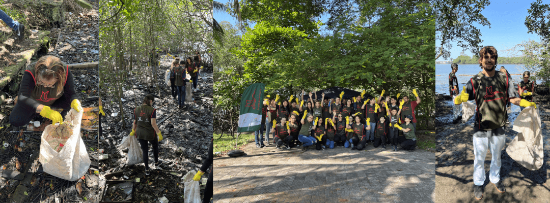 Mutirão Cleanup Day 2026