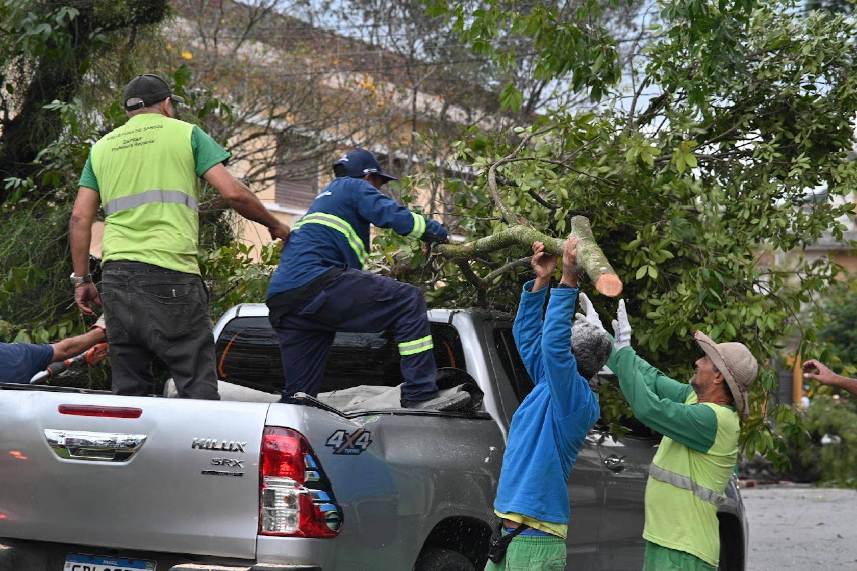 Homens em uniformes da Prefeitura de Santos carregam galhos de árvores em uma caminhonete Toyota Hilux após corte.
