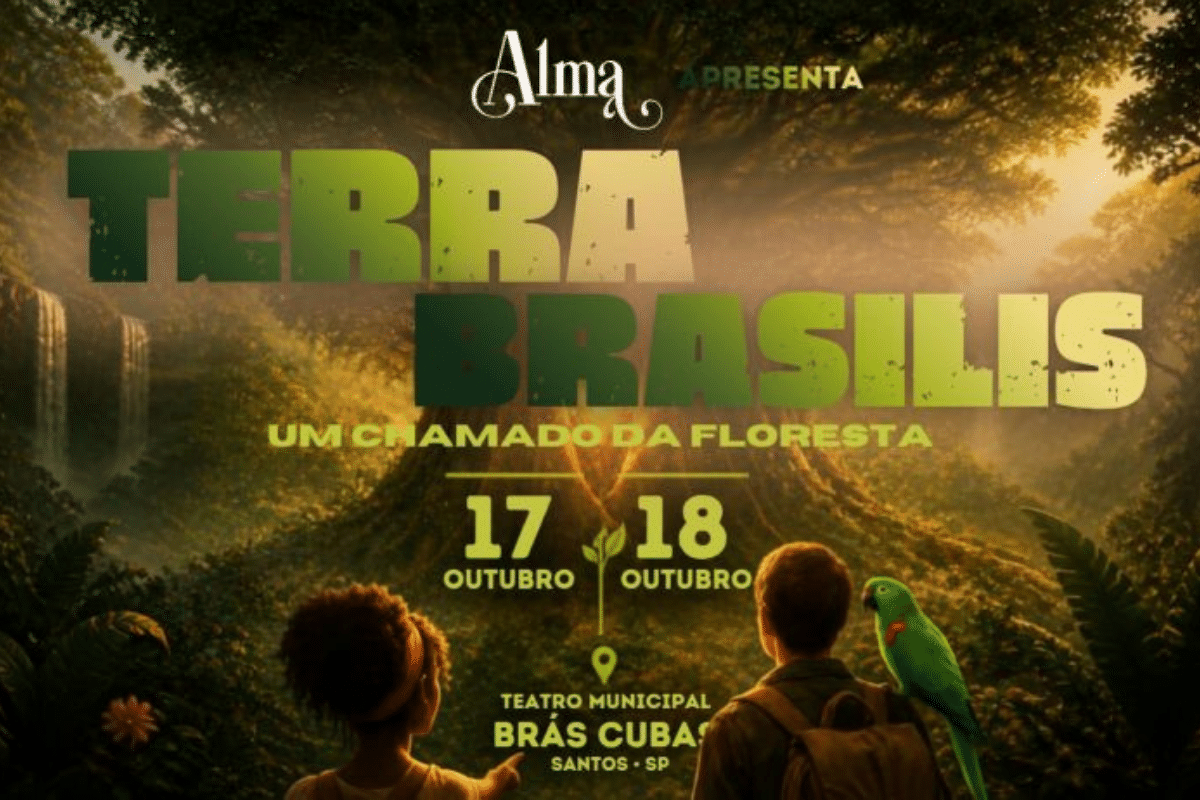 Terra Brasilis